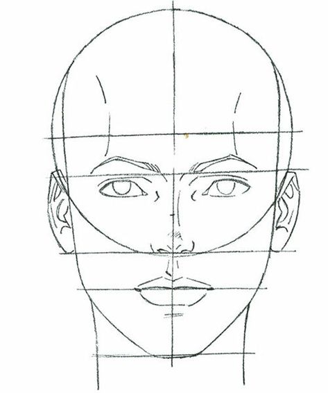 Human Face Sketch, Hummingbird Art Drawing, Easy Portrait Drawing, Face Proportions, Human Body Art, 얼굴 드로잉, Drawing Tutorial Face, Fashion Illustrations Techniques, 얼굴 그리기