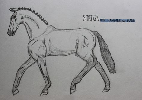 Hanoverian, Horse Drawing, Horses, Humanoid Sketch, Drawings, Art