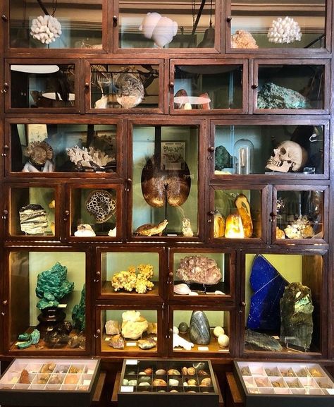 Rock Collection Aesthetic, Mineral Collection Display, Rock Collection Storage, Moody Library, Single Pictures, Rock Collection Display, Calm Place, Rock Tumbler, Rocks And Fossils