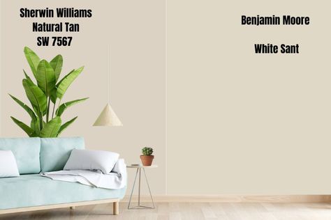 White Sand vs. Natural Tan Sherwin Williams Tradewind, Warm Beige Paint Colors, Sherwin Williams Dover White, Pastel Paint Colors, Taupe Paint Colors, Sherwin Williams Extra White, Bright Paint Colors, Agreeable Gray Sherwin Williams, Brown Paint Colors