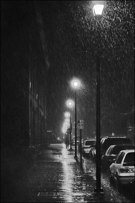 Night Photography Portrait, Street Photography Portrait, Night In The City, Rainy Street, Night Rain, Black And White Photo Wall, Rain Art, Black And White Picture Wall, Portrait Lighting