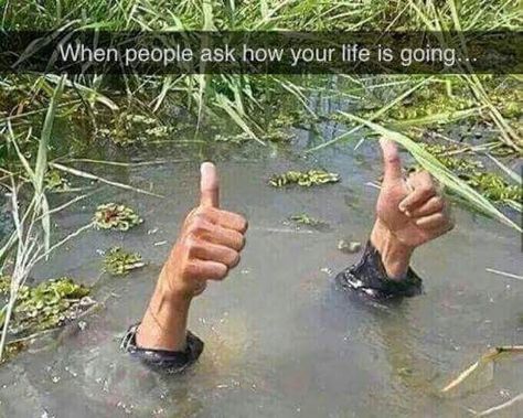 When people ask how your life is going... Morbider Humor, Phd Humor, Detroit: Become Human, Golf Humor, Everything Is Fine, Disc Golf, Social Work, Thumbs Up, I Laughed