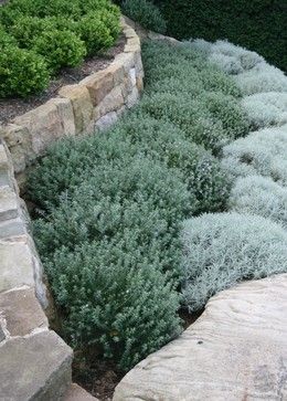 Landscape Contemporary, Small Front Yard Landscaping, Small Front Yard, Yard Landscape, Dry Garden, Coastal Gardens, Garden Types, Rock Garden Landscaping, Have Inspiration