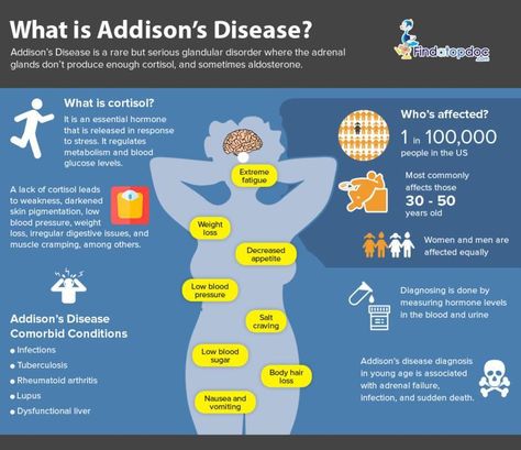 Addison’s Disease Disease Infographic, Autoimmune Disease Symptoms, Addison's Disease, Addisons Disease, Adrenal Health, Nursing School Survival, L Carnitine, Disease Symptoms, Adrenal Glands