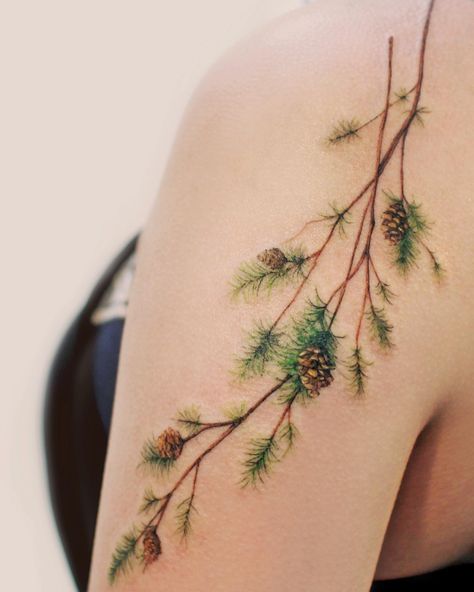 20 Stunning Pine Tree Tattoo Ideas for Men & Women in 2024 Tree Tattoo Ideas For Men, Maple Tree Tattoos, Small Nature Tattoo, Tree Tattoo Ideas, Matching Tattoos For Siblings, Tree Branch Tattoo, Pine Tattoo, Pine Tree Branch, Earth Tattoo