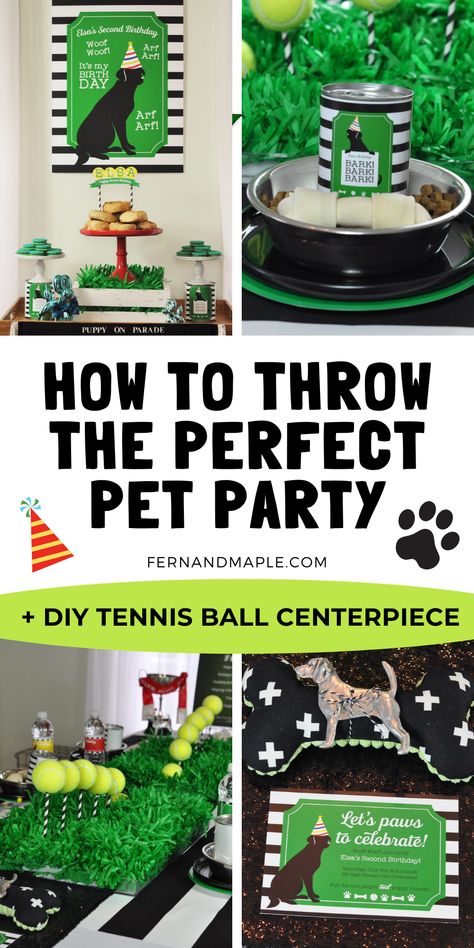 How To Throw A Dog Birthday Party, Dog Birthday Party Activities For Dogs, Tennis Ball Themed Dog Party, Dog Park Birthday Party, Birthday Party For A Dog, Dog Parties Ideas, Dog Party Activities For Dogs, Dog Party Favors For Dogs, Puppy Bowl Party Ideas