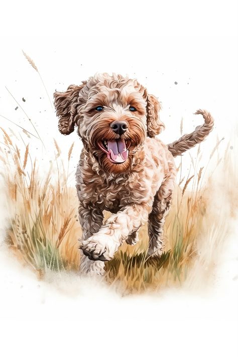 12 High Quality PNGs - Watercolor, Dog Clipart- Commercial Use Included Lagotto Romagnolo, Dog Clipart, Love Pet, Dog Breed, Thor, Easy Drawings, Dog Breeds, Kitchen Island, White Background