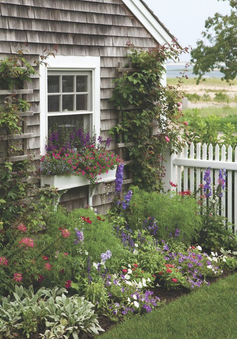 cottage garden by the sea | cottage by the sea Seaside Garden, Flowers Growing, White Picket Fence, Cottage Gardens, Seaside Cottage, Picket Fence, Gorgeous Gardens, Coastal Cottage, Garden Cottage