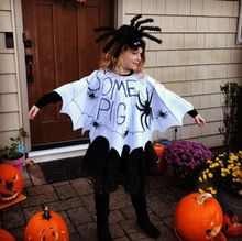 literary-costumes-for-book-lovers_charlotte Charlotte Web Costume, Literary Costumes, Halloween Comic, Book Character Costumes, Costumes For Halloween, Book Character, Dorian Gray, Nancy Drew, Banned Books