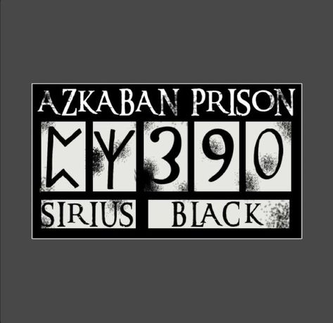 Sirius Black Funny, Sirius Black Costume, Sirius Black Dog, Sirius Black Gary Oldman, Sirius Black Harry Potter, Sirius Black Wand, Sirius Black Quotes, Harry Potter Quotes Tattoo, Sirius Black Tattoo