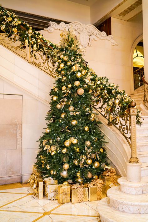 NYC Christmas at the Plaza Hotel Plaza Hotel Christmas, Christmas Bannister, The Plaza Hotel Nyc, Hotel Christmas, City Holiday, New York City Christmas, Hotel Flowers, Christmas Dreaming, Nyc Christmas