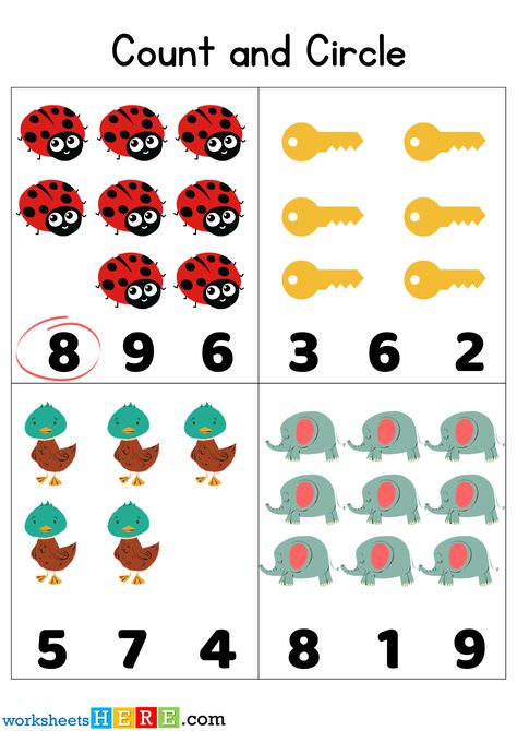 Count Objects and Circle Correct Number Activity PDF Worksheets For Kids - WorksheetsHere.com Count And Circle The Correct Number, Rote Counting, Number Activity, Number Activities, The Teacher, Worksheets For Kids, For Kids, 10 Things