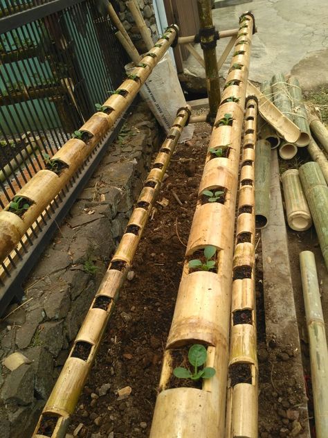 Bamboo Ideas, Bamboo Landscape, Bamboo Diy, Wood Working Projects, Bamboo House Design, Vegetable Garden Raised Beds, Bamboo Structure, Bamboo Architecture, Bamboo Decor