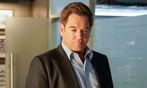 NCIS star Michael Weatherly left Hollywood to live in New York with his wife Bojana... Michael Weatherly Wife, Ncis Stars, Amelia Heinle, Michael Weatherly, Hollywood Homes, Hollywood Hills, My Wife Is, People Magazine, Living In New York