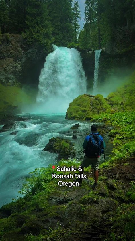 Koosah Falls Oregon, Blue River, Beautiful Waterfalls, Summer Breeze, Miss A, National Forest, Oregon, Bucket List, Forest