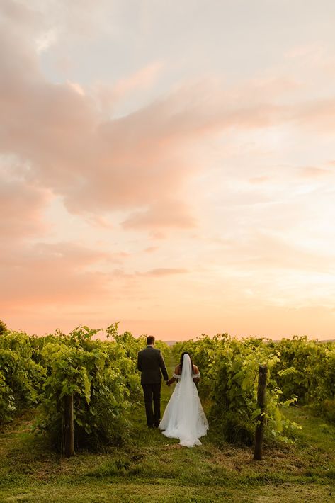 Love is in the air this Summer with many couples tying the knot! ❤ We wish Kristen and Mike a happy ever after! We still have 2023/2024 dates available!! Contact our Events team to inquire about hosting your wedding, social or corporate event at Holland Marsh Wineries. 💌 events@hmwineries.ca Wedding Social, Tying The Knot, Winery Wedding, Best Wedding Venues, Winery Weddings, Love Is In The Air, Tie The Knots, 2023 2024, The Knot