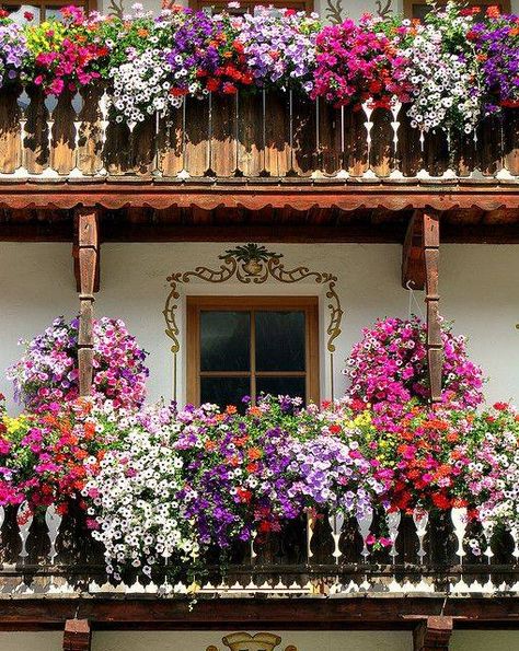 Balcony full of flowers Italian Balcony, Colorful Roses, Window Boxes, The Balcony, Alam Semula Jadi, Window Box, Balcony Garden, Flower Boxes, Dream Garden