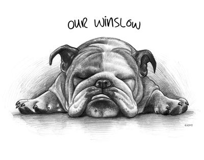 English Bulldog Art, Pencil Sketch Art, Bulldog Drawing, Bulldog Tattoo, Animal Shaming, Custom Pet Art, Dog Sketch, Bulldog Art, Animal Sketches