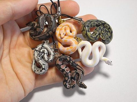 Clay Snakes, Pretty Snakes, Idee Cricut, Polymer Clay Animals, Ball Python, Cute Polymer Clay, Clay Animals, Sculpting Clay, Polymer Clay Charms