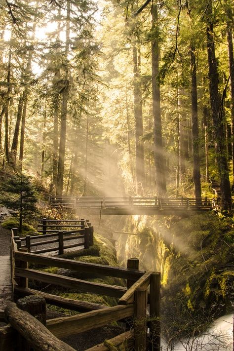 Olympic National Park Washington, Black Painting, Random Inspiration, Olympic National Park, A Bridge, Dec 12, Pretty Places, Vacation Spots, Beautiful Landscapes