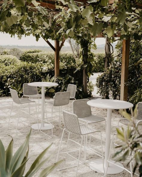 Fig Tree Restaurant & Rooms (@figtreerestaurant) • Instagram photos and videos Tree Restaurant, Photos Inspo, Hello May, The Lane, Instagram Wedding, Wedding Styling, Fig Tree, Byron Bay, Fig