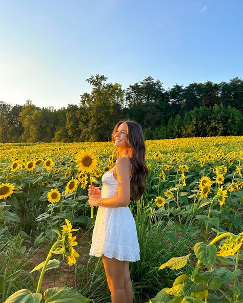 sunflower lovers🌻🌅🦋 #sunflowerfield #flowerfield #fallactivities #couplegoals #falldate Sunflower Field Instagram Pictures, Sunflower Farm Photoshoot Outfits, Sunflower Field Outfit Ideas Fall, Pics With Sunflowers, Pictures In A Sunflower Field, Sun Flower Fields Photoshoot, Pics In Flower Field, Flower Farm Picture Ideas, Sun Flower Pictures Ideas