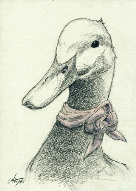 Duck Illustration, Duck Drawing, Bird Sketch, Animal Drawings Sketches, Duck Art, Merch Ideas, Illustration Art Drawing, Pencil Art Drawings, Art Drawings Sketches Creative