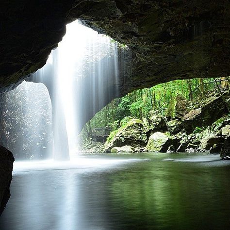 The beauty of the Natural Bridge in Springbrook National Park is pretty hard to beat. Located in the lush Gold Coast Hinterland, Queensland, Australia, this stunning shot was taken early in the morning, but it’s also worth coming back after sunset to witness the incredible colony of glow-worms that live here Gold Coast Queensland, Mountain Waterfall, Australian Travel, Land Of Oz, Holiday Places, Natural Bridge, Outdoor Landscaping, Australia Travel, Amazing Destinations