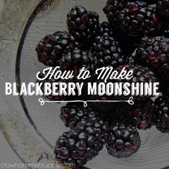 Blackberry Moonshine Recipe Cocktails, Best Moonshine Recipes, Drink Stations For Parties, Moonshine Mixed Drinks Recipes, Moonshine Flavors Recipes, Crock Pot Moonshine Recipes, Pecan Pie Moonshine Recipe, Blackberry Moonshine Recipe, Crockpot Moonshine