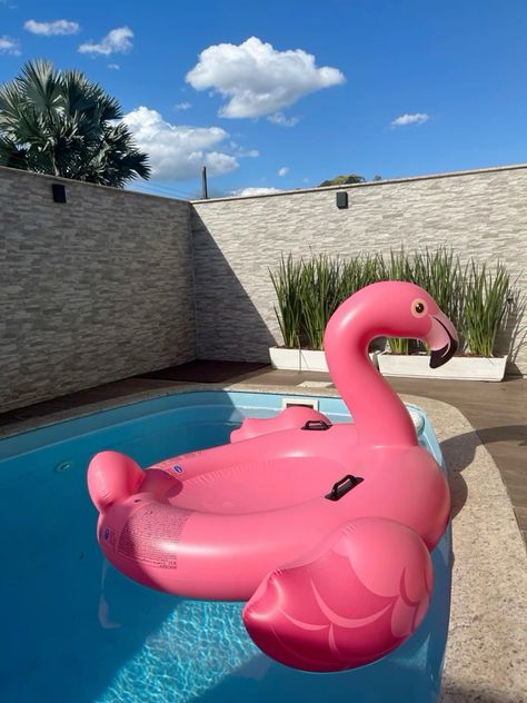 Summer Pool Floats, Luxury Pool Floats, Luxury Christmas Decor, Lion Birthday, Pool Floaties, Famous Babies, Summer Fun List, Fancy Houses, Pretty Drinks