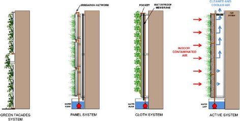 Ecology Projects, Vertical Green Wall, Wall Section Detail, Landscape Architecture Diagram, Green Facade, Architecture Concept Diagram, Balcony Plants, Architecture Concept Drawings, Living Wall