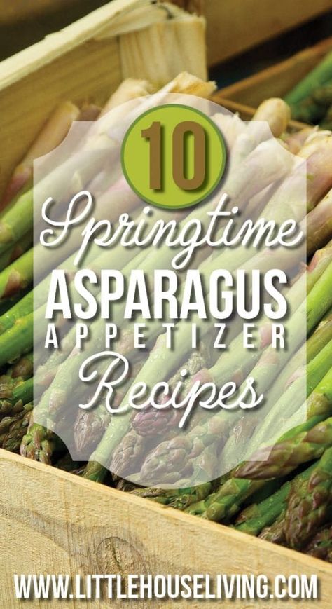 10 Springtime Recipes for Asparagus Appetizers - Asparagus Recipes Asparagus Appetizers Easy, Asparagus Appetizer Recipes, Asparagus Appetizers, Recipes For Asparagus, Zucchini Appetizer Recipes, Lobster Appetizers, Spinach Cheese Puffs, Asparagus Appetizer, Avocado Appetizer