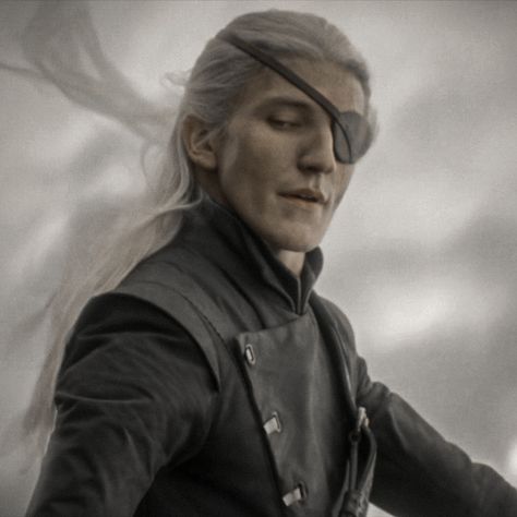 Aemon Targaryen, Tv Show House, Ewan Mitchell, Aemond Targaryen, Dragon Icon, A Dance With Dragons, Targaryen Art, Targaryen Aesthetic, Game Of Thrones Art