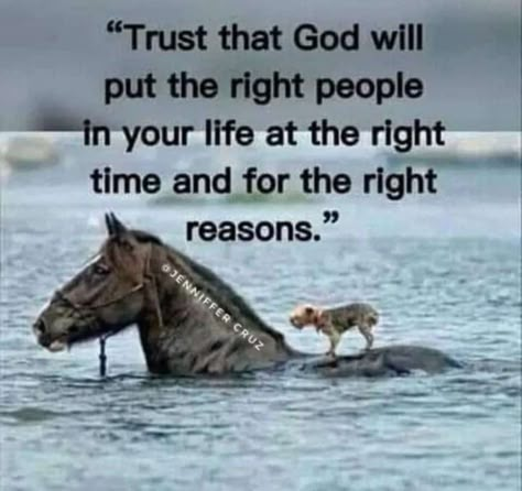 Inspirational Quotes God, Inspirational Prayers, Quotes God, Christian Quotes Inspirational, Lesson Quotes, Life Lesson Quotes, Prayer Quotes, Right Time, Verse Quotes