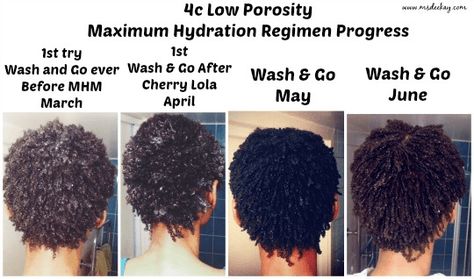 Maximum Hydration Method, Max Hydration Method, Best Natural Hair Products, Natural Hair Regimen, Nappy Hair, Low Porosity Hair Products, Natural Hair Care Tips, Type 4 Hair, Hair Regimen