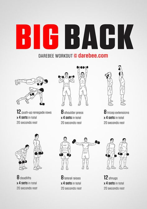 Big Back Workout, Back Workout Men, Gym Back Workout, Free Weight Workout, Fitness Studio Training, Latihan Dada, Workout Men, Gym Antrenmanları, Dumbell Workout