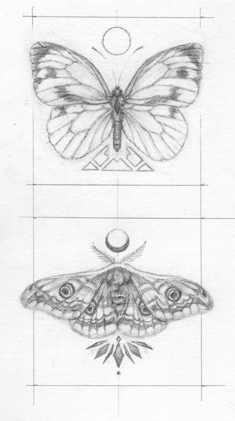 Moth And Butterfly Art, Butterfly Moth Matching Tattoo, Moth Tattoo No Shading, Detailed Moth Drawing, Step By Step Moth Drawing, Butterfly And Moth Drawing, Moth Tattoo Lower Back, Moth Drawing Sketch, Moth Vs Butterfly Tattoo