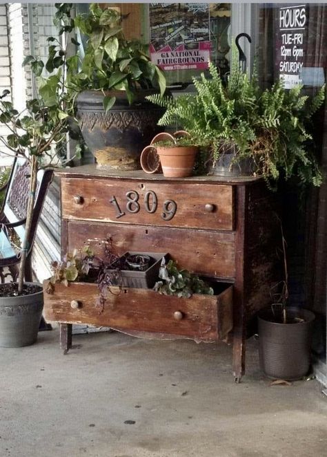 Displaying Indoor Plants, Modern Garden Design Ideas, Antique Booth Displays, Rustic Wooden Shelves, Plant Shelf, Modern Garden Design, Garden Design Ideas, Front Porch Decorating, Wooden Chest