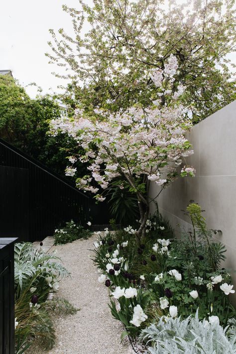 Chic Backyard, Architectural Plants, Outdoor Space Design, London Garden, Corner Garden, Landscape Designer, Parking Space, Garden Tours, Garden Fencing