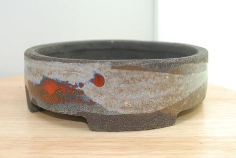 Handmade pots for bonsai trees for sale by swedish bonsai pot maker Thor Holvila. Pottery Bonsai Pots, Bonsai Pots Ideas, Bonsai Trees For Sale, Bonsai Display, Pot Bonsai, Handmade Pots, Bonsai Mame, Bonsai Forest, Handmade Pot