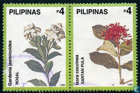 Postage Stamps - Philippines - Homegrown flowers Filipino Stamp Tattoo, Filipino Flower, Philippines Stamp Tattoo, Philippine Flowers, Filipino Flowers Philippines, Philippine Stamp, Filipino Stamp, National Flower Of Philippines, Philippines Tattoo