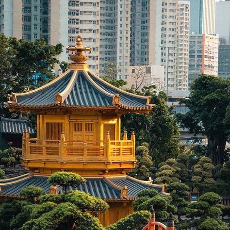 Shanti Travel on Instagram: "The Chi Lin Nunnery uses the traditional Tang Dynasty architecture with a design based on a Sukhavati drawing in the Mogao Caves. It is constructed entirely with cypress wood, without the use of any nails, and is currently the world's largest hand-made wooden building⠀⠀⠀⠀⠀⠀⠀⠀⠀ .⠀⠀⠀⠀⠀⠀⠀⠀⠀ 📷 : @barnadrift⠀⠀⠀⠀⠀⠀⠀⠀⠀ .⠀⠀⠀⠀⠀⠀⠀⠀⠀ #shantitravel #travelagency #travelasia #slowtravel #travellikelocal #hongkong #visithongkong #hongokngtrip #hongkongvacations #holidayinhongkong #explorehongkong #bestofhongkong #hongkongtraveler #hongkonggram #hongkongpictures #hongkongphotography #amazinghongkong #wonderfulhongkong #neverstopexploring #exploretheworld #chilinnunnery #castle #dynasty #hongkongdynasty #chillin" Tang Dynasty Architecture, Mogao Caves, Hong Kong Photography, Wooden Building, The Chi, Cypress Wood, Wooden Buildings, Architectural Styles, Tang Dynasty