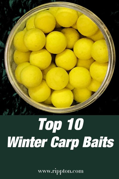 Check out the Top 10 Winter Carp Baits at www.rippton.com#Fishing#Fishingforlife#Fishingdaily#Rippton Best Carp Bait, Carp Fishing Bait, Conserve Energy, Fish Bait, Last Resort, Pike Fishing, Freshwater Fishing, Pop Ups, Carp Fishing