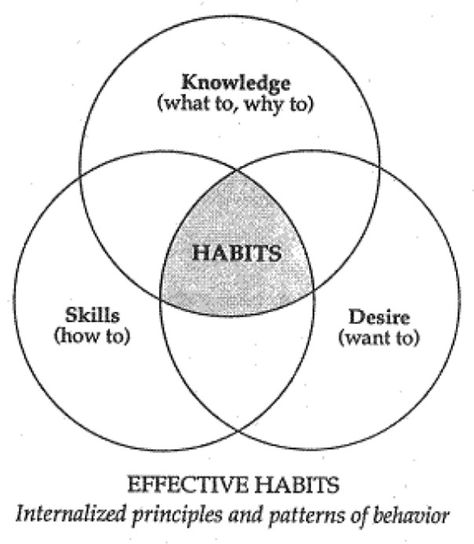 Motivation, knowledge, skills & desire. How to form new healthy habits. (Patterns of behavior) Steven Covey, Covey 7 Habits, Habit Loop, Stephen Covey Quotes, Habit Change, Habits Of Highly Effective People, Seven Habits, Highly Effective People, Leader In Me