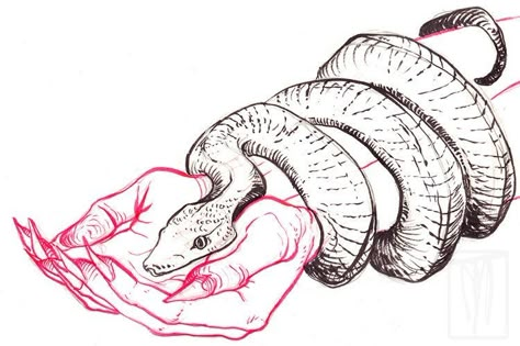 Myriam Tillson, Snake Drawing, Snake Art, Arte Inspo, Flash Art, Tattoo Design Drawings, Sketchbook Art Inspiration, Cool Art Drawings, Drawing Inspo