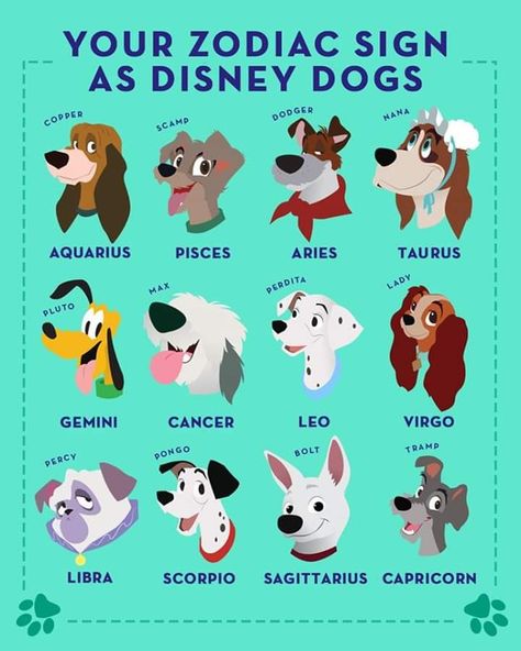 Angel Meaning, Lifepath Numerology, Zodiac Twins, Disney Zodiac, Number Angel, Dog Zodiac, Zodiac Signs Animals, Zodiac Signs Pictures, Zodiac Sign Fashion