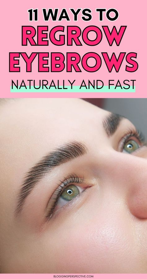 Eyebrow Growth Remedies, Growing Out Eyebrows, Grow Your Eyebrows, Grow Eyebrows Faster, Regrow Eyebrows, Brow Hacks, Eyebrow Tips, How To Make Eyebrows, Grow Eyebrows