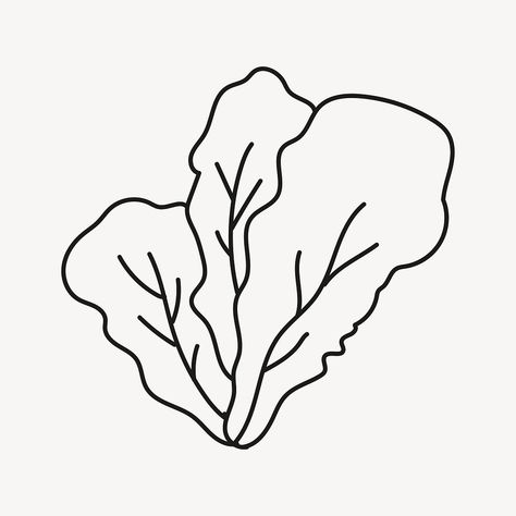 Salad Doodle, Lettuce Drawing, Lettuce Illustration, Vegetable Drawings, Puzzle Purse, Doodle Line Art, Vegetable Drawing, Salad Lettuce, Dibujo Simple