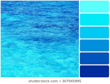 Aqua Color Palette, Clear Ocean Water, Ocean Color Palette, Color Palette From Image, Bio Pool, Beach Color Palettes, Nude Color Palette, Turquoise Color Palette, Hex Color Palette