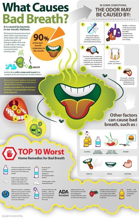 Dental Posters, Bad Breath Remedy, Kedokteran Gigi, Dental Fun, Dental Facts, Dental Humor, Pediatric Dentistry, Oral Health Care, Dental Assistant